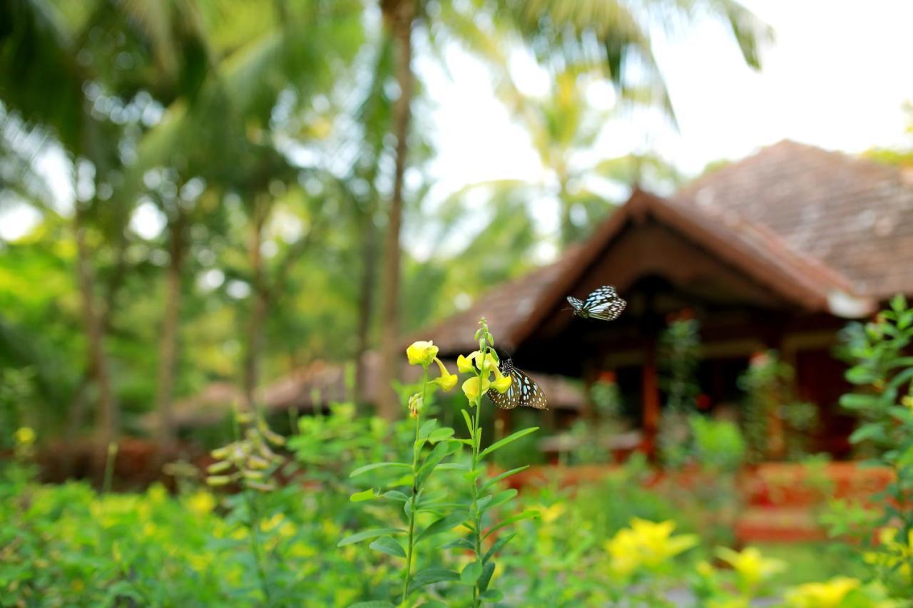 The Nattika Beach Resort Thrissur Bagian luar foto