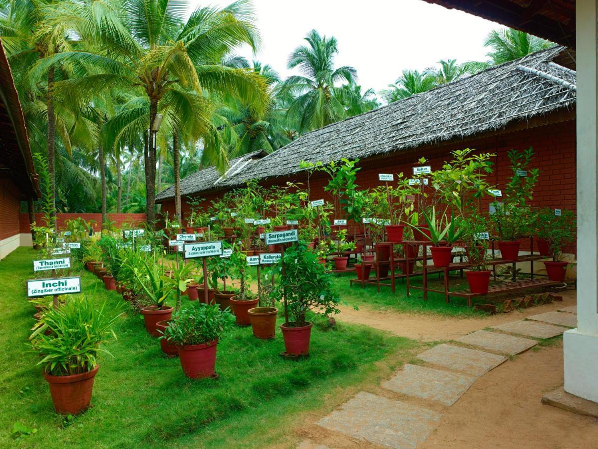 The Nattika Beach Resort Thrissur Bagian luar foto